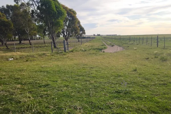 Camino de tierra entre cercos y pastura en finca rural en Buenos Aires.